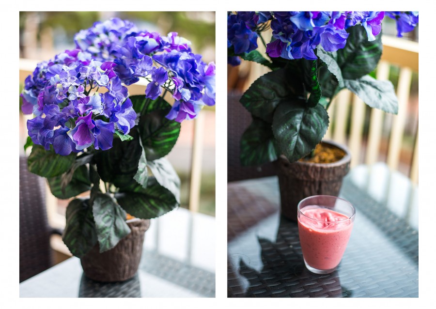 janni-deler-pink-smoothieDSC_0189 copy