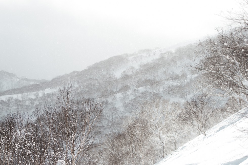 05_DSC3090-xtravel-niseko-japan-powder