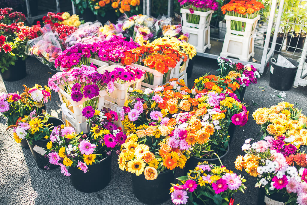 janni-deler-berlin-market-mauerparkDSC_0060