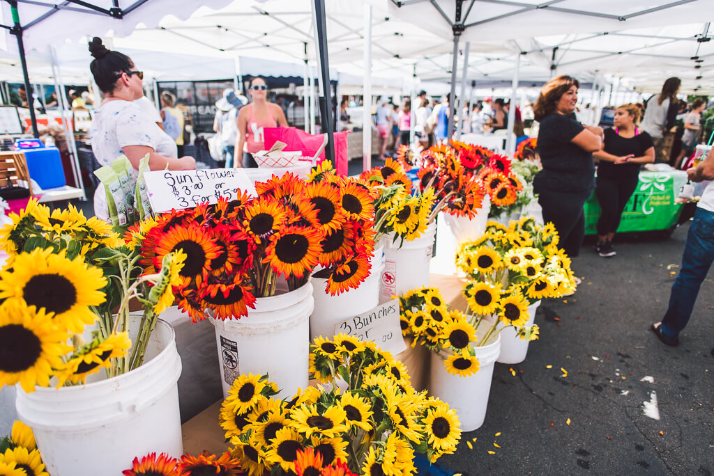 janni-deler-calabasas-farmersmarketDSC_6157