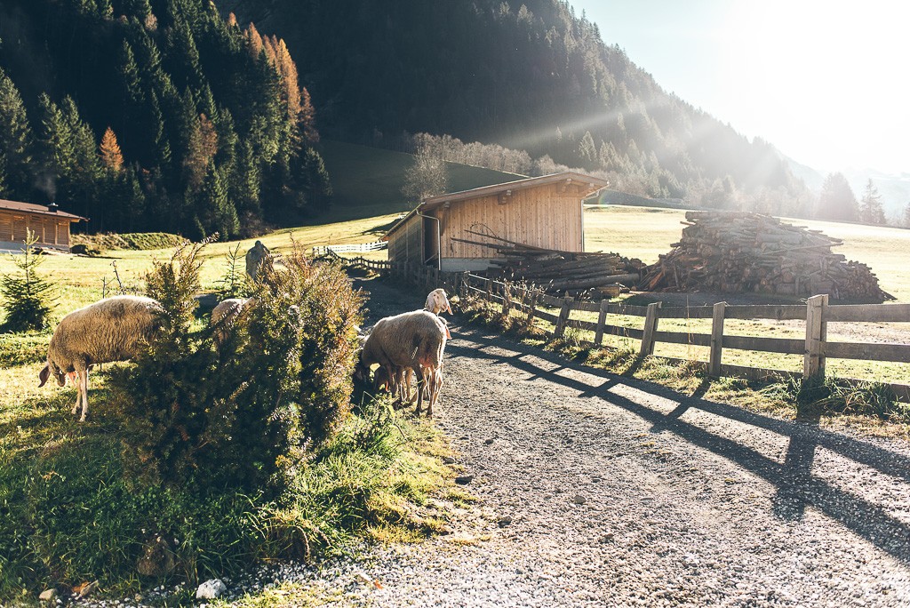 janni-deler-exploring-stubaiDSC_2000-Redigera