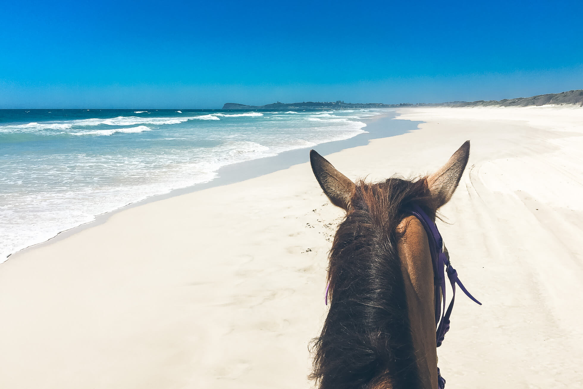 janni-deler-horseback-riding-byronbayIMG_6599 2